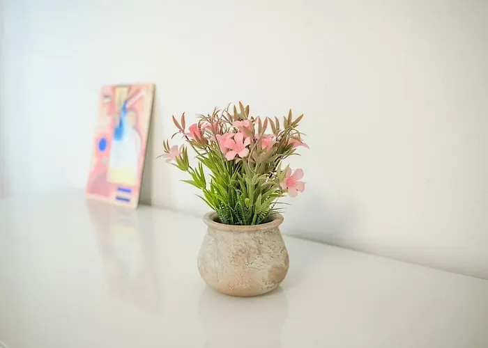 Your Happy Place In The Centre Modena